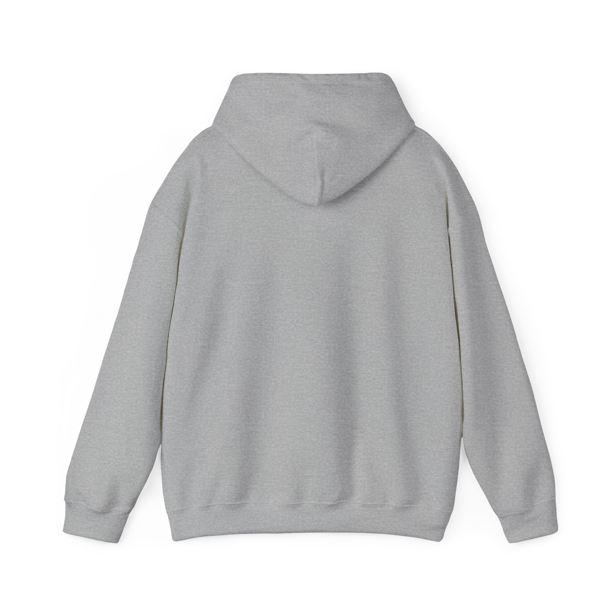 Sudadera gris big buffalo modern style