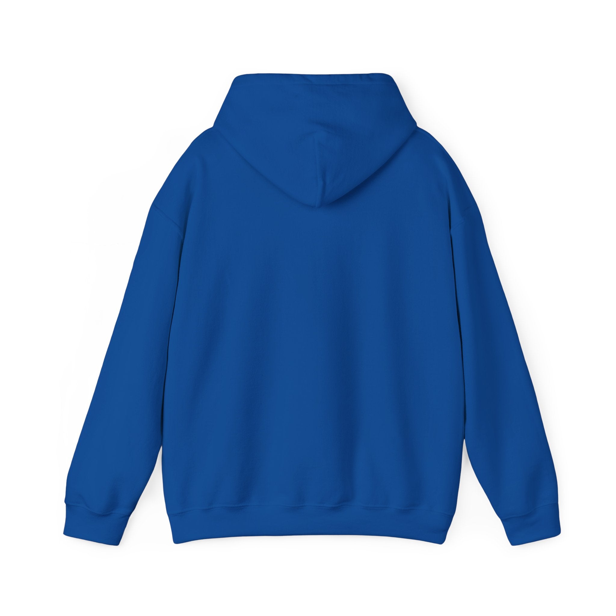 Sudadera azul big buffalo modern style