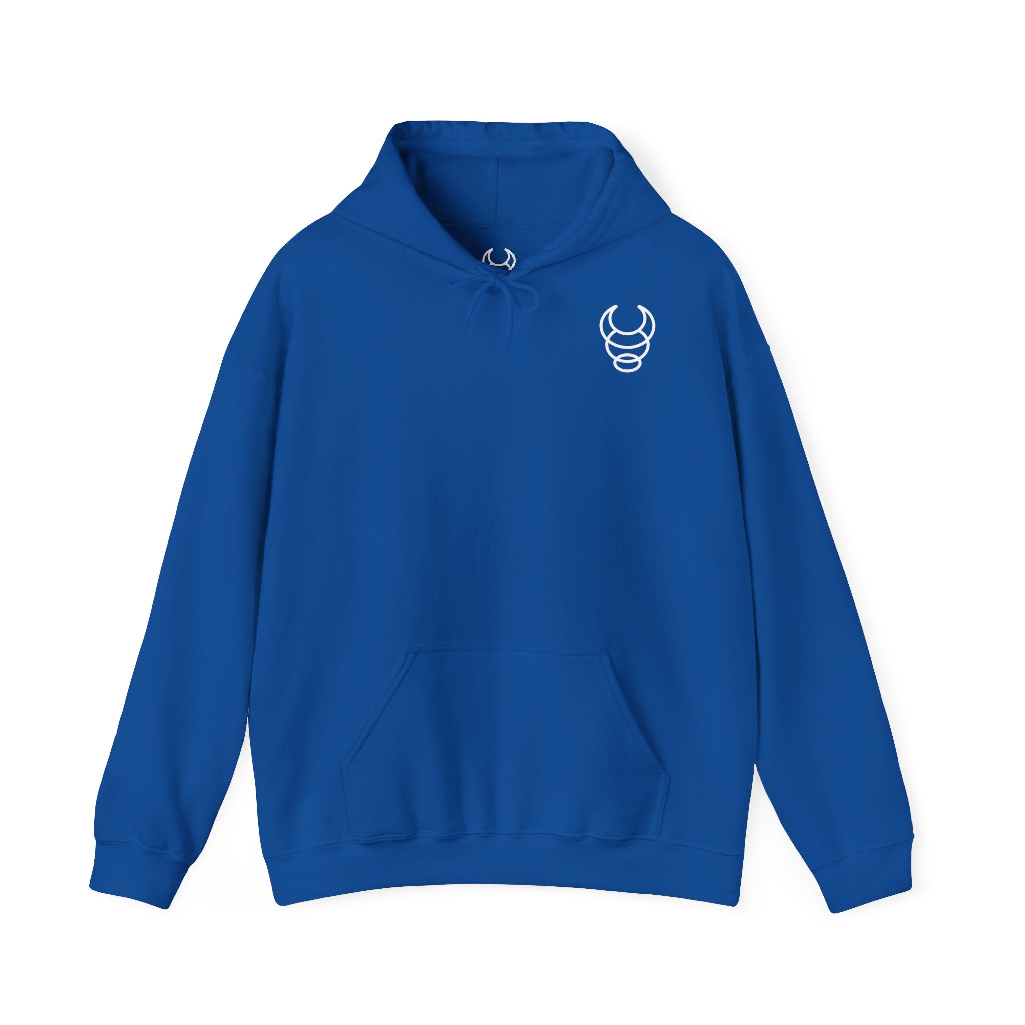 Sudadera azul big buffalo modern style